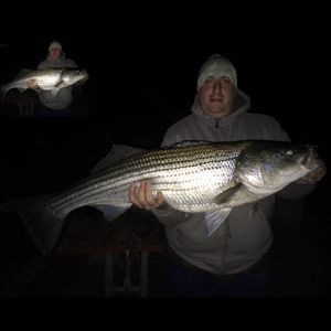 Meet your Posher, Marcello